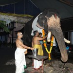 3 Vinayaka chadurthi celebration – 2014